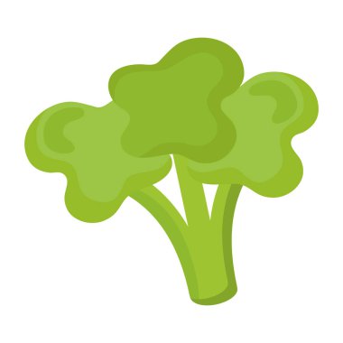 Taze brokoli sebzesi