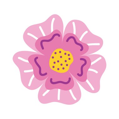 pembe bahar çiçeği