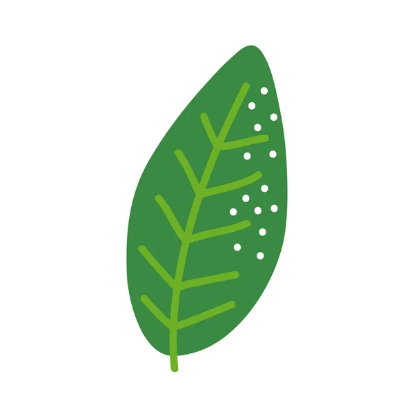 Icône de plante feuille — Image vectorielle
