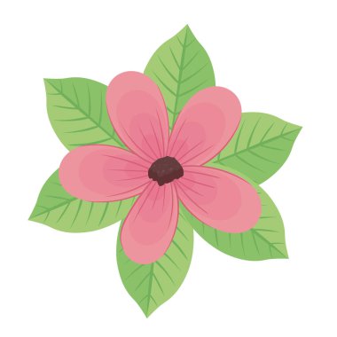 Şirin kırmızı çiçek