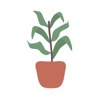 houseplant abstract art