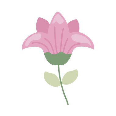 pembe çiçek bahçesi