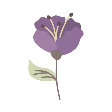 mor çiçek bahçesi