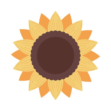 ayçiçeği doğa simgesi