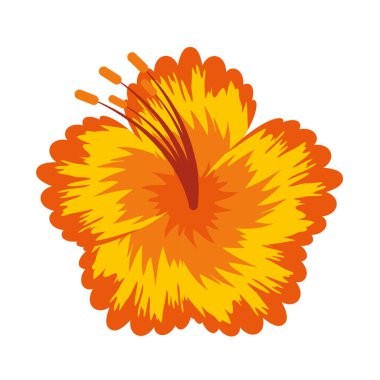 egzotik tropikal çiçek