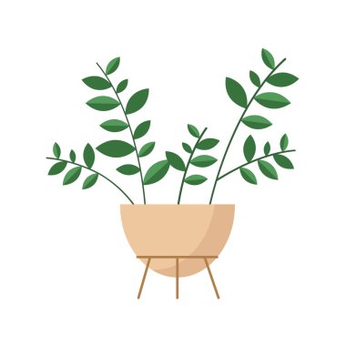 ev bitkisi bej kabı