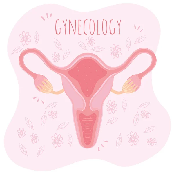 Гінекологія жіночий орган — стоковий вектор