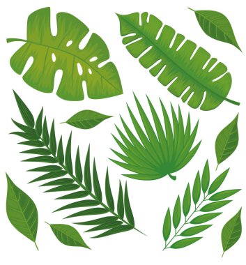 Yapraklar avuç içi desenleri