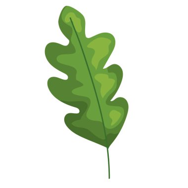 yeşil yaprak bitkisi