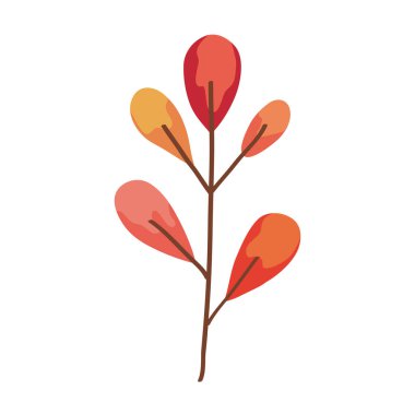 kuru yapraklar dalı