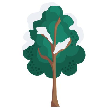 kış ağacı yeşili