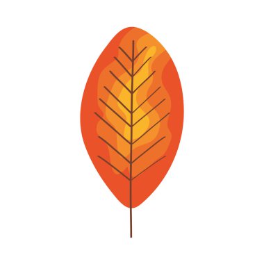 kuru yaprak sonbaharı