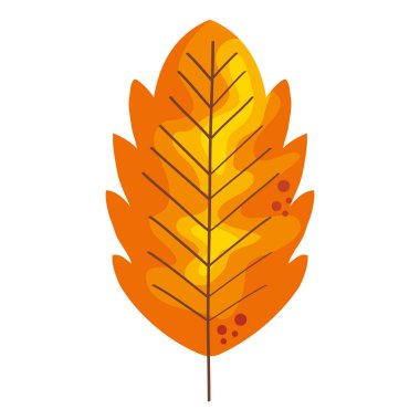 sonbahar yaprağı kuru