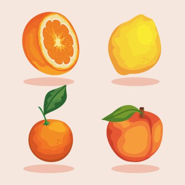 tropikal dört meyve