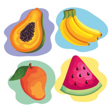 dört tropikal meyve