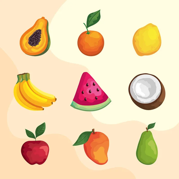 9つの熱帯果実 — ストックベクタ