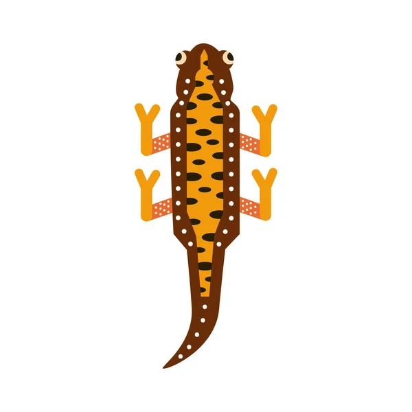 Mignon amphibien triton — Image vectorielle