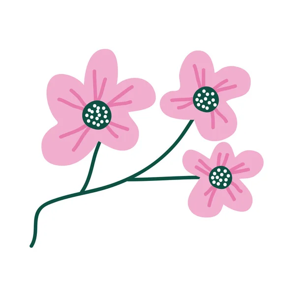 Větev s růžovými květy — Stockový vektor