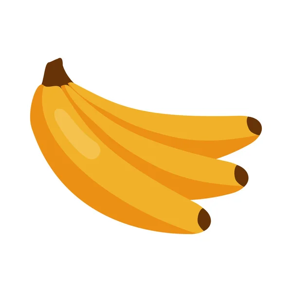 Frutas frescas de plátano — Archivo Imágenes Vectoriales