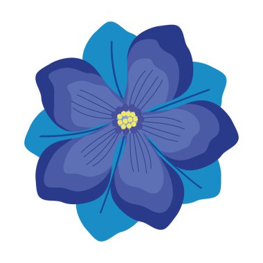 egzotik mavi çiçek