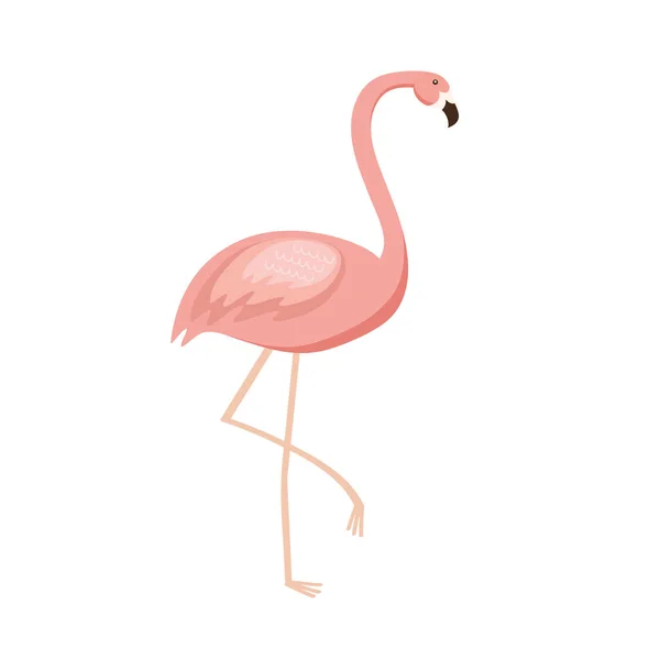 Flamingó egzotikus madár — Stock Vector