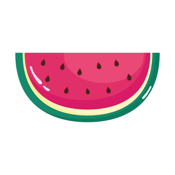 Fresh watermelon half — Stock Vector