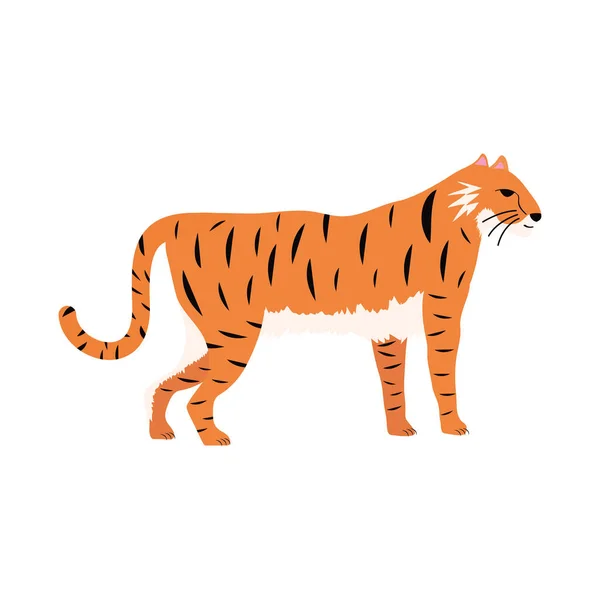 Tigre félin — Image vectorielle