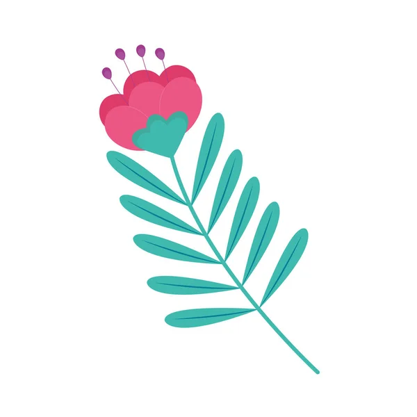 Rosa blomma och blad — Stock vektor