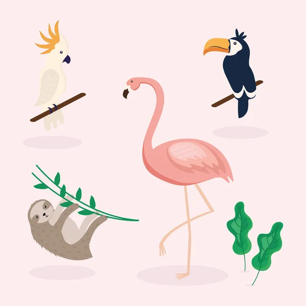 Quatre animaux tropicaux — Image vectorielle