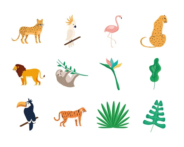 Osiem zwierząt tropikalnych — Wektor stockowy