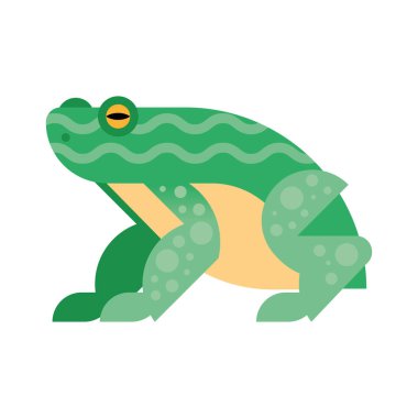 Şirin kurbağa amfibi.