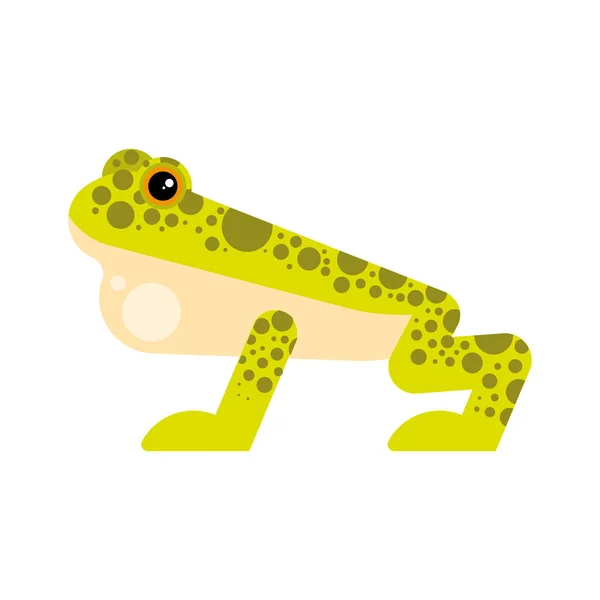 Roztomilý žába obojživelník — Stockový vektor
