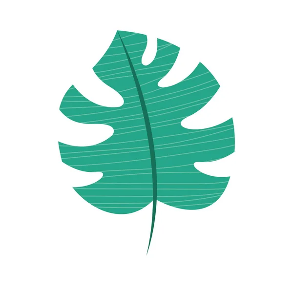 Тропічна листова долоня — стоковий вектор
