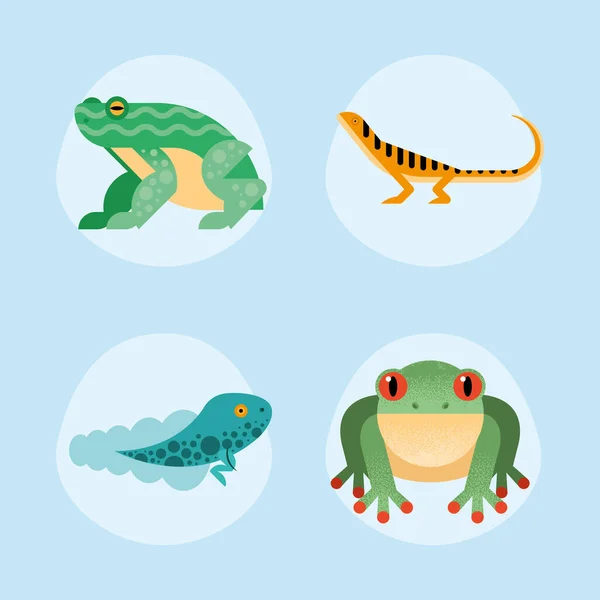Cute four amphibians — Stock Vector