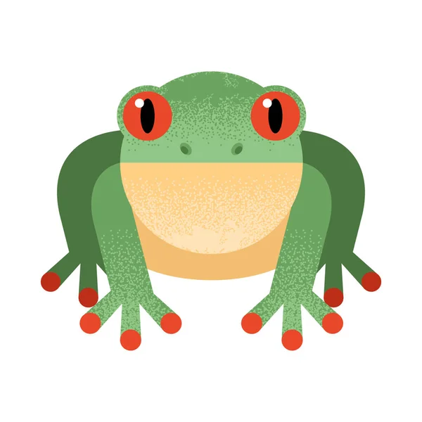 Toad cute amphibian — Stock Vector