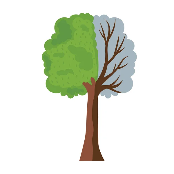 Trädet halvdött och halvt levande — Stock vektor