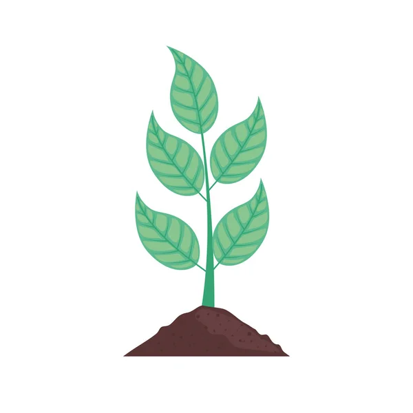 Plante dans le sol — Image vectorielle
