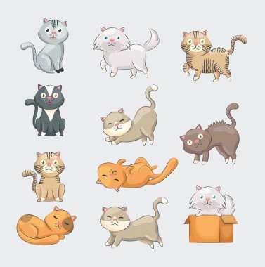 On bir sevimli kedi.