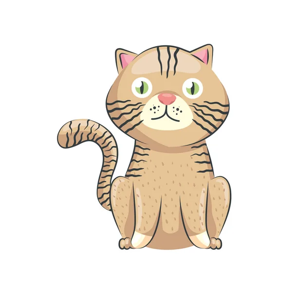 Roztomilý tabby cat — Stockový vektor