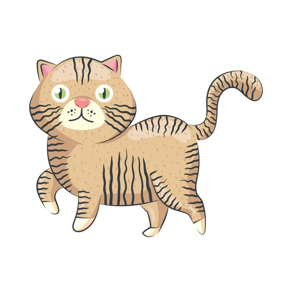 Roztomilý kočka tabby — Stockový vektor