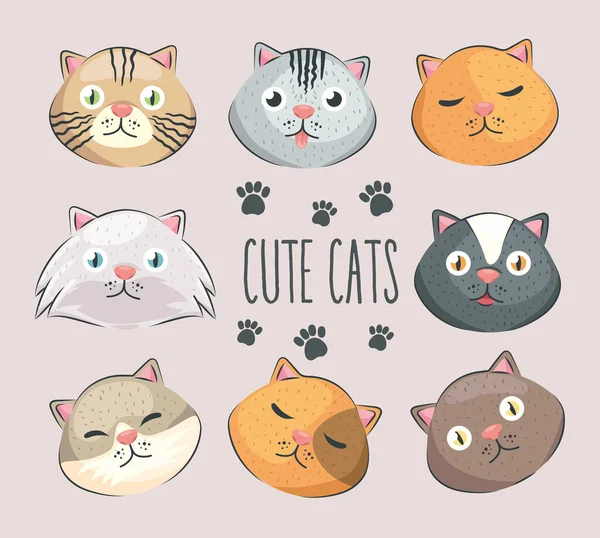 Eight heads cats — Stock Vector