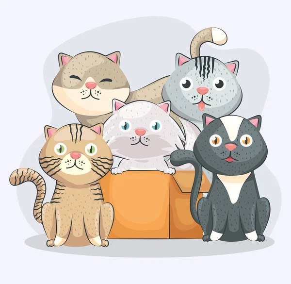 Cinq chats mignons — Image vectorielle