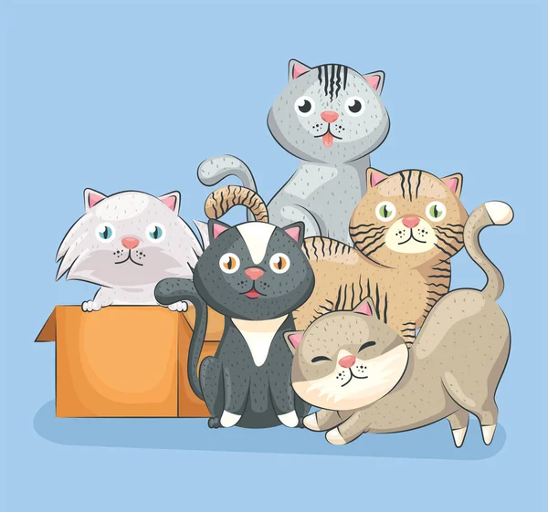 かわいい猫5匹 — ストックベクタ