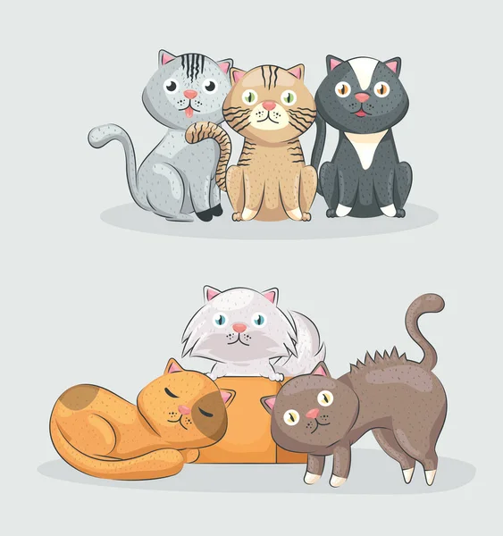 Aranyos macskák csoport — Stock Vector