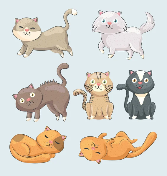 七只可爱的猫 — 图库矢量图片