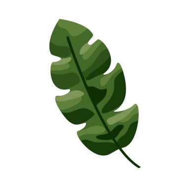 Egzotik tropik yaprak