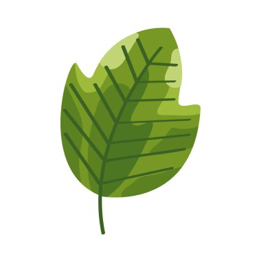 Eko yaprağı yeşili