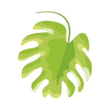 egzotik yaprak palmiyesi