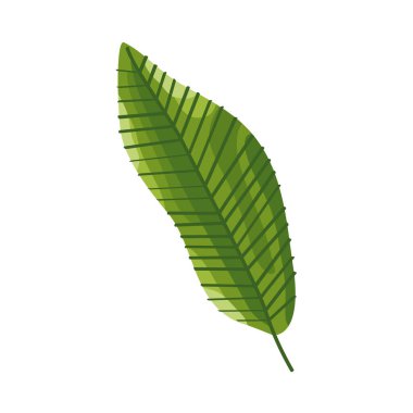 ekoloji yaprağı yeşili