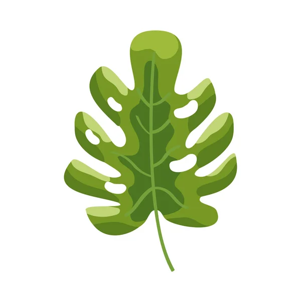 Tropik yeşil yaprak — Stok Vektör